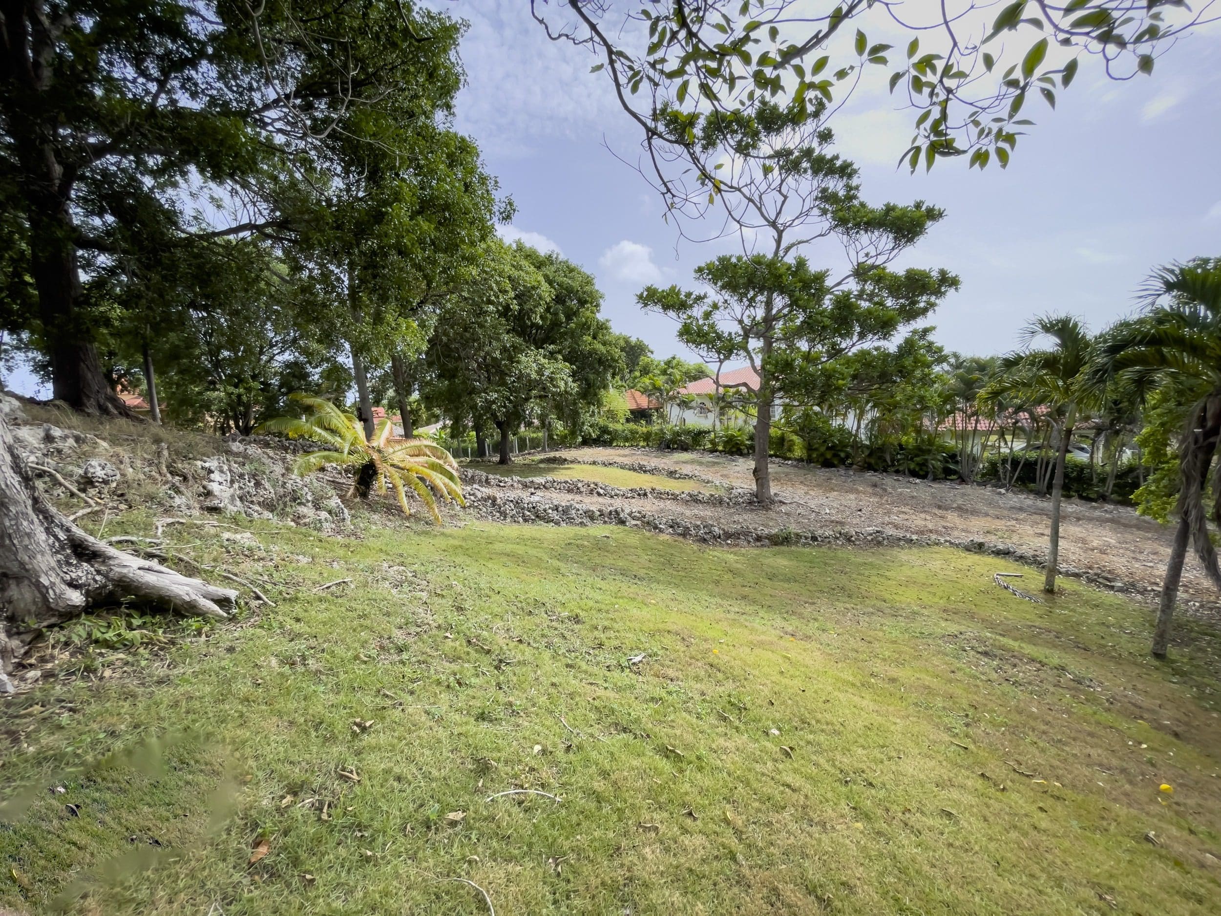 buyDRproperty Grassy building lot for sale with potential ocean views, surrounded by trees. Sosua Real Estate