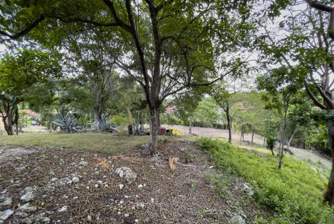 buyDRproperty Building lot with trees, grass, and potential ocean views Sosua Real Estate