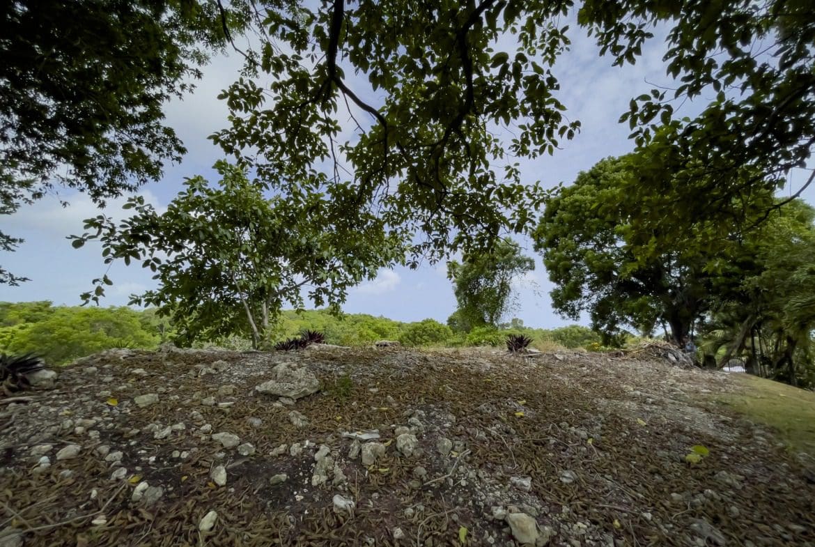 buyDRproperty Hillside with trees, rocky ground, and blue sky Sosua Real Estate