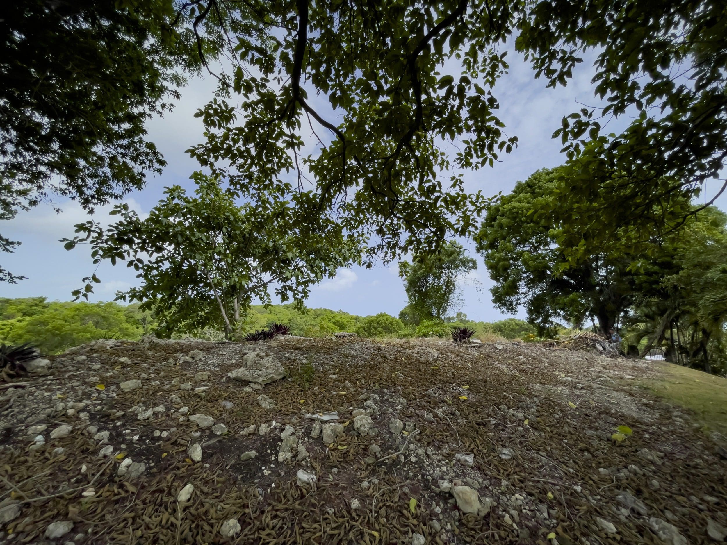 buyDRproperty Hillside with trees, rocky ground, and blue sky Sosua Real Estate