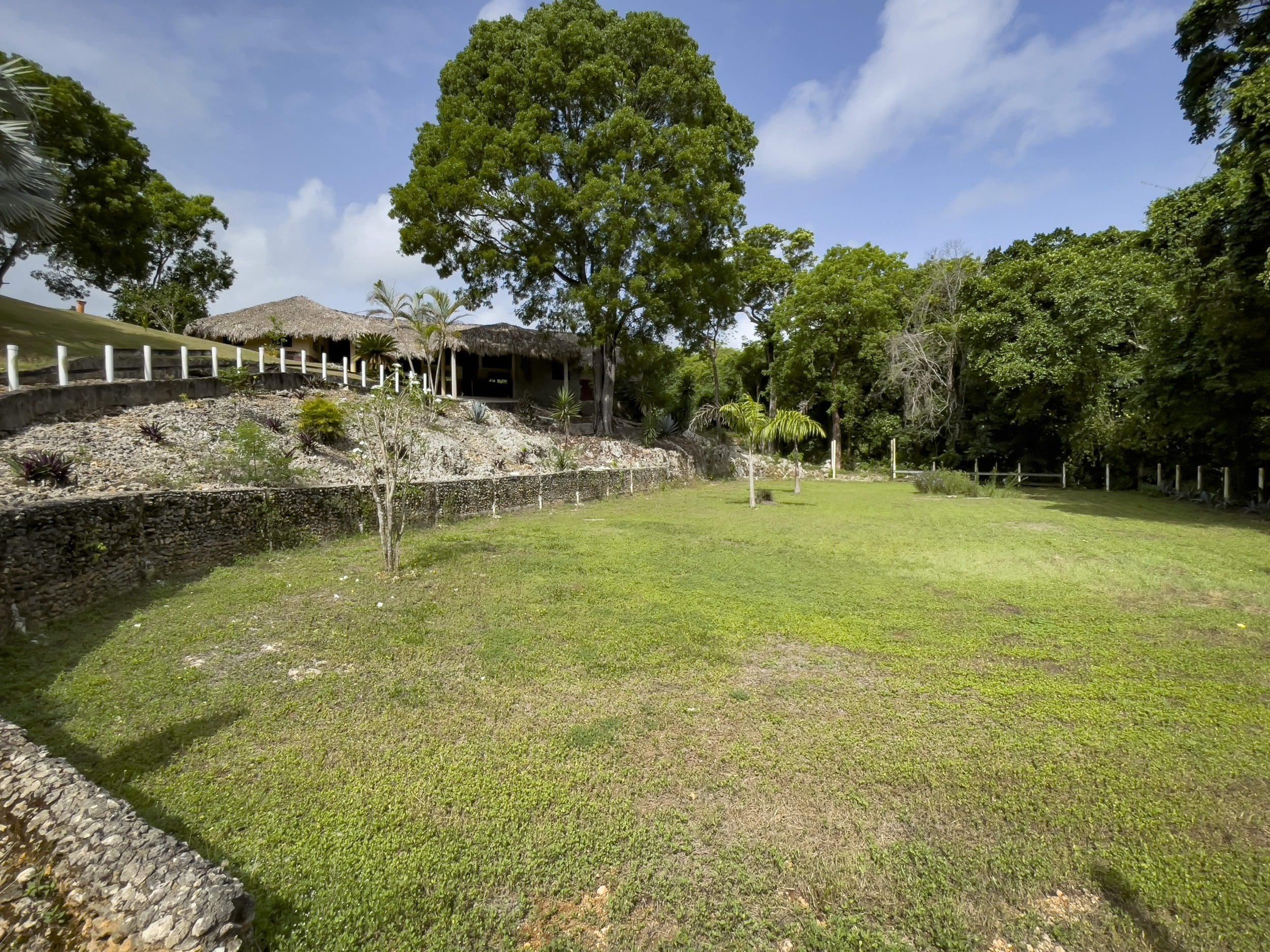 buyDRproperty Grassy building lot with thatched-roof buildings and trees under a blue sky. Sosua Real Estate