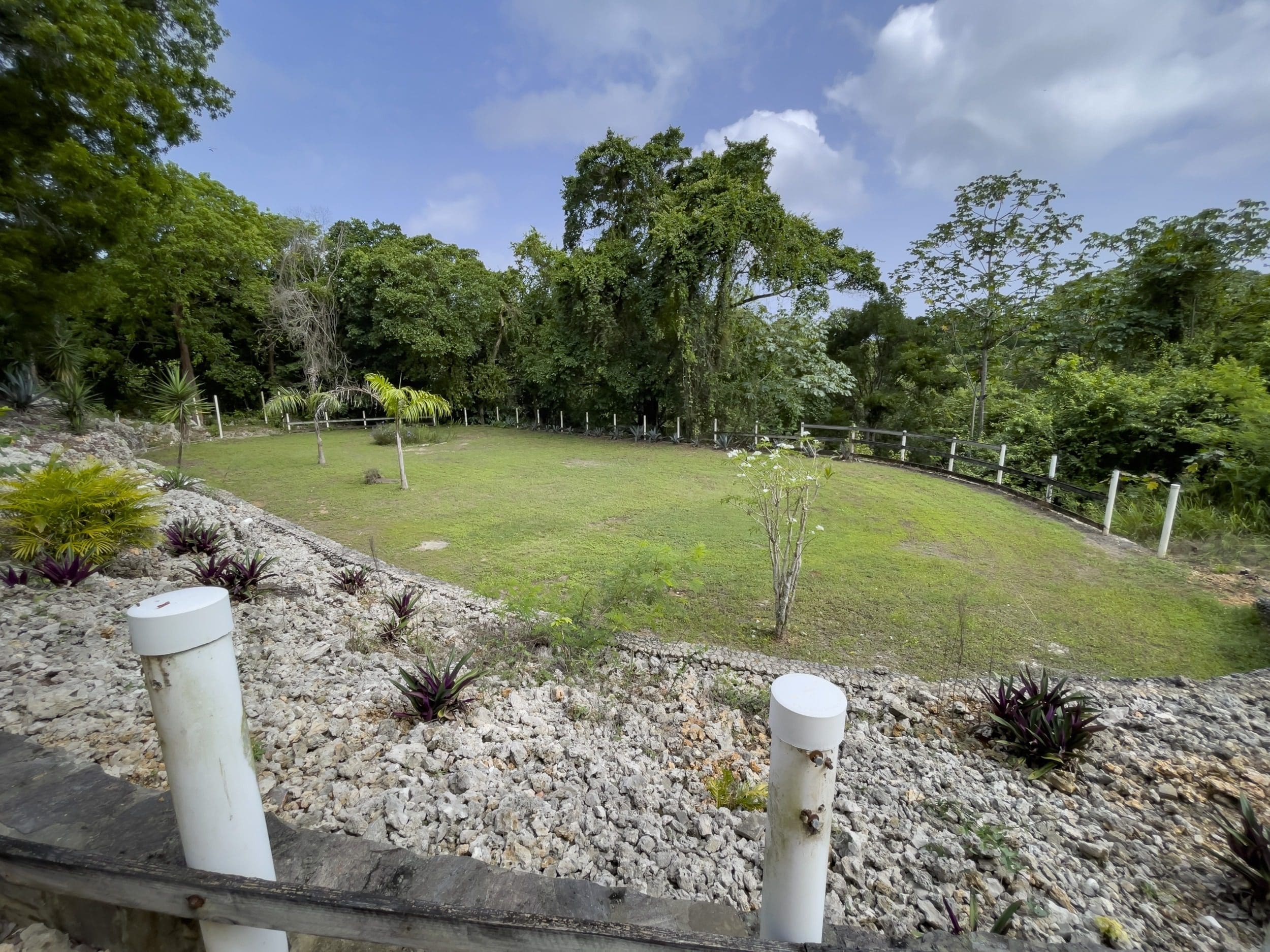 buyDRproperty Grassy building lot surrounded by trees and fence with rocky foreground. Sosua Real Estate
