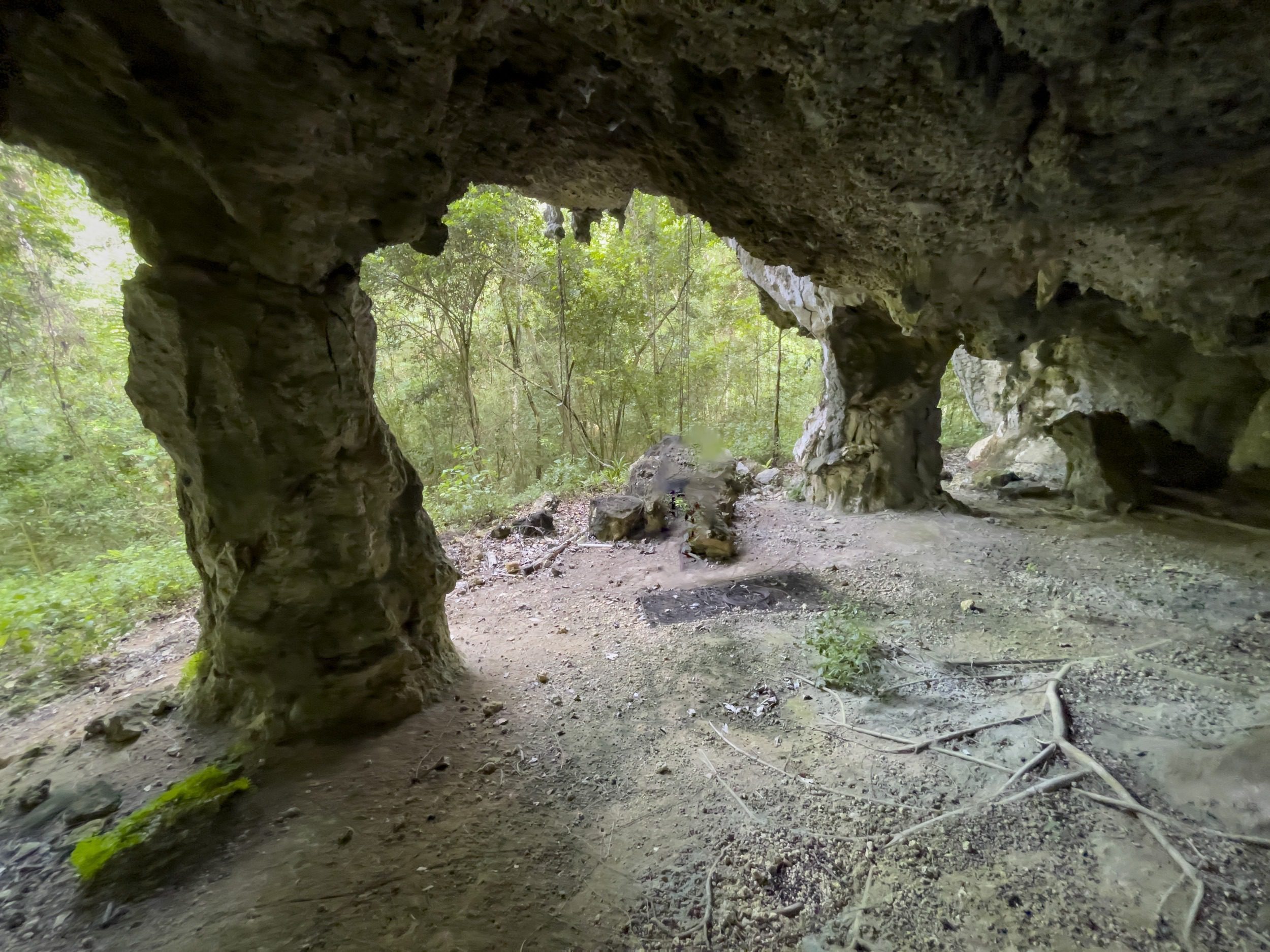 buyDRproperty Inside a cave, showcasing a natural archway with trees visible outdoors, perfect for nature exploration and adventure. Sosua Real Estate
