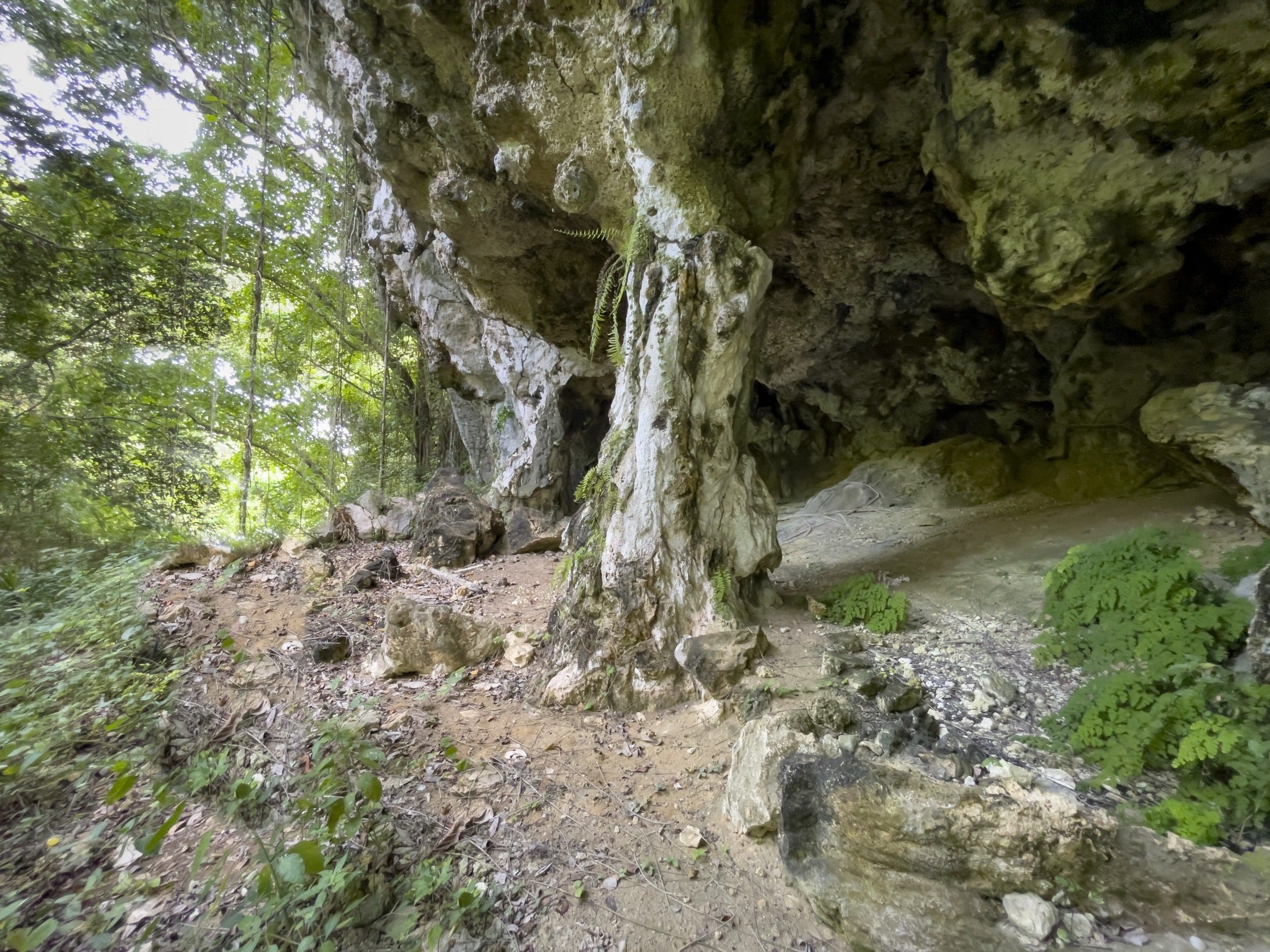 buyDRproperty Cave entrance with building lot in a wooded area. Sosua Real Estate