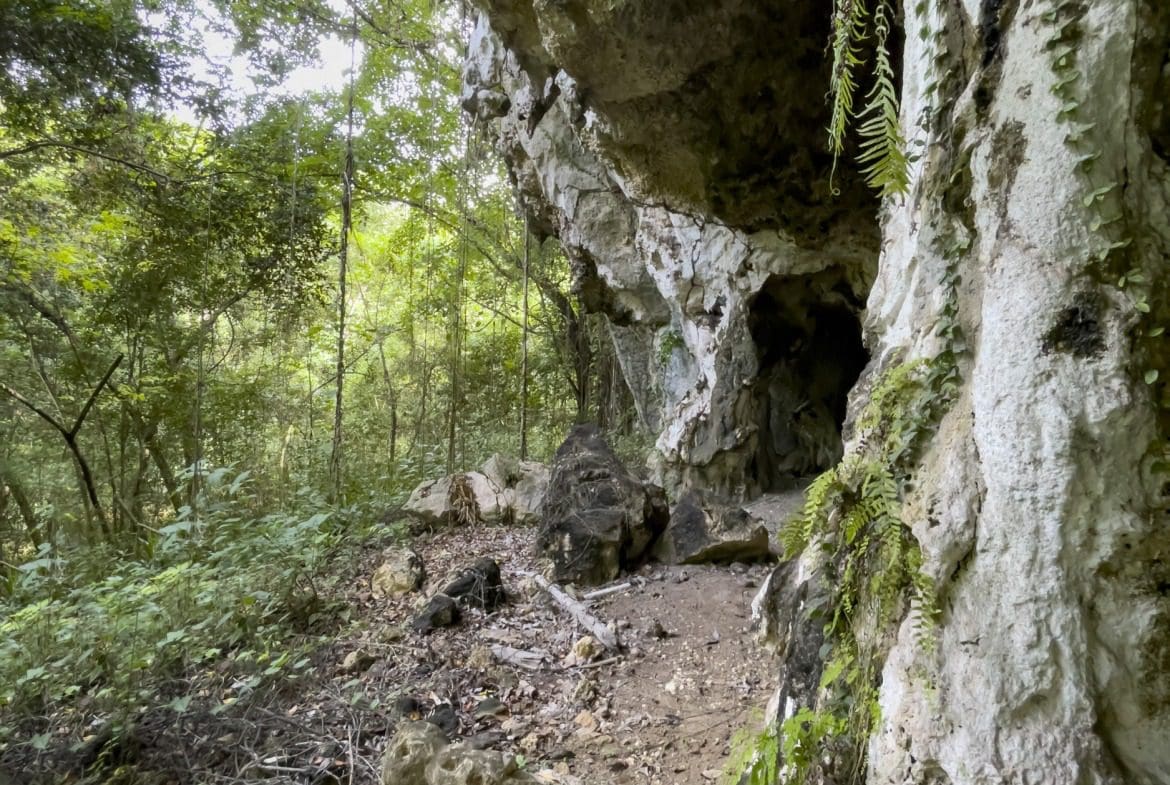 buyDRproperty Cave entrance on a building lot with lush green foliage Sosua Real Estate