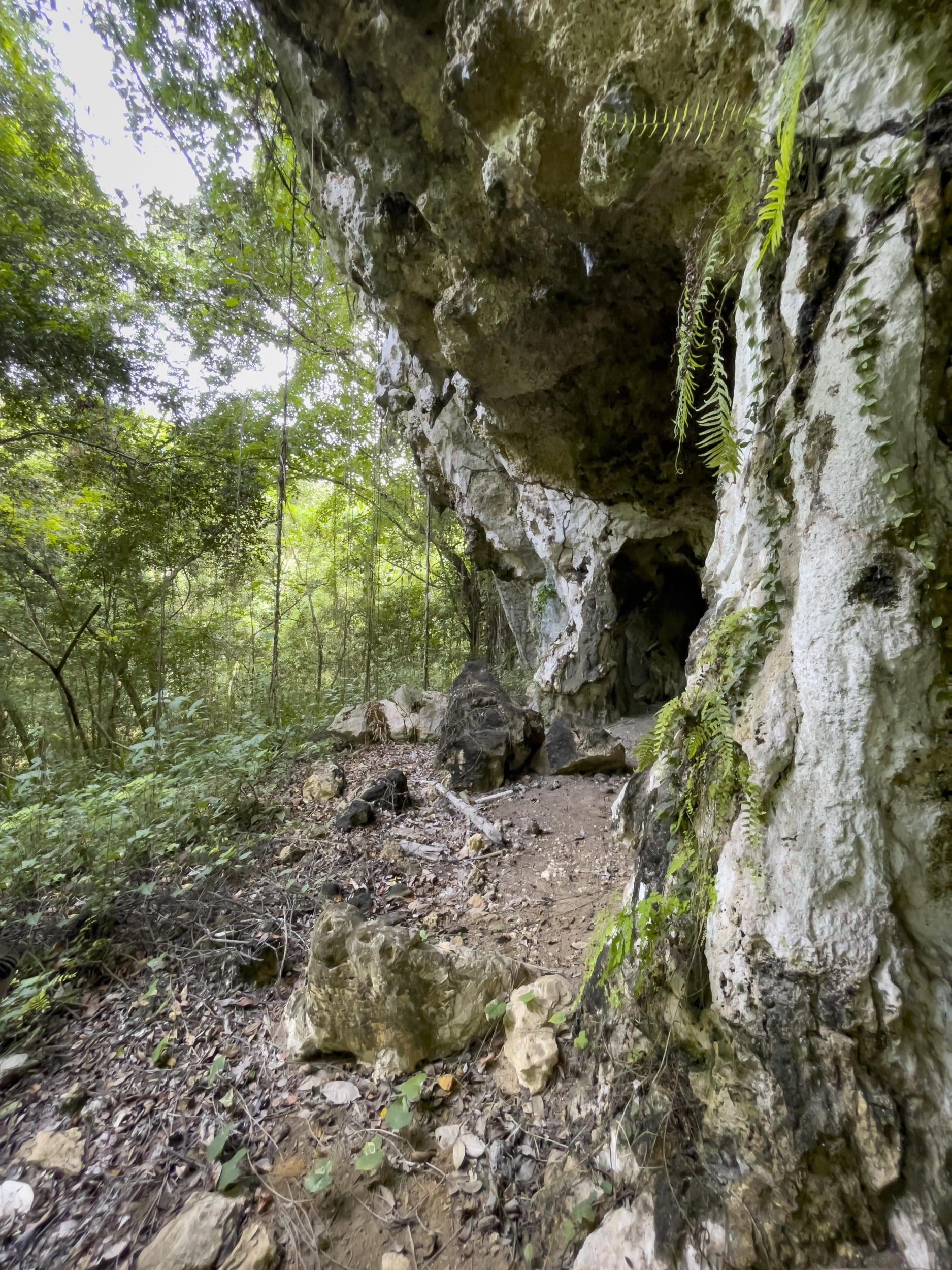 buyDRproperty Cave entrance on a building lot with lush green foliage Sosua Real Estate