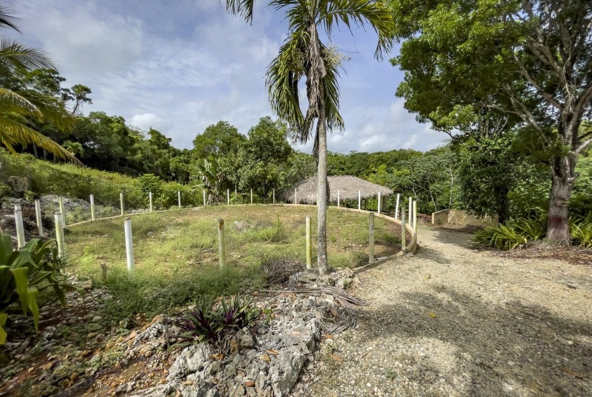 buyDRproperty Tropical scene on a building lot with a circular area and a thatched-roof structure. Sosua Real Estate