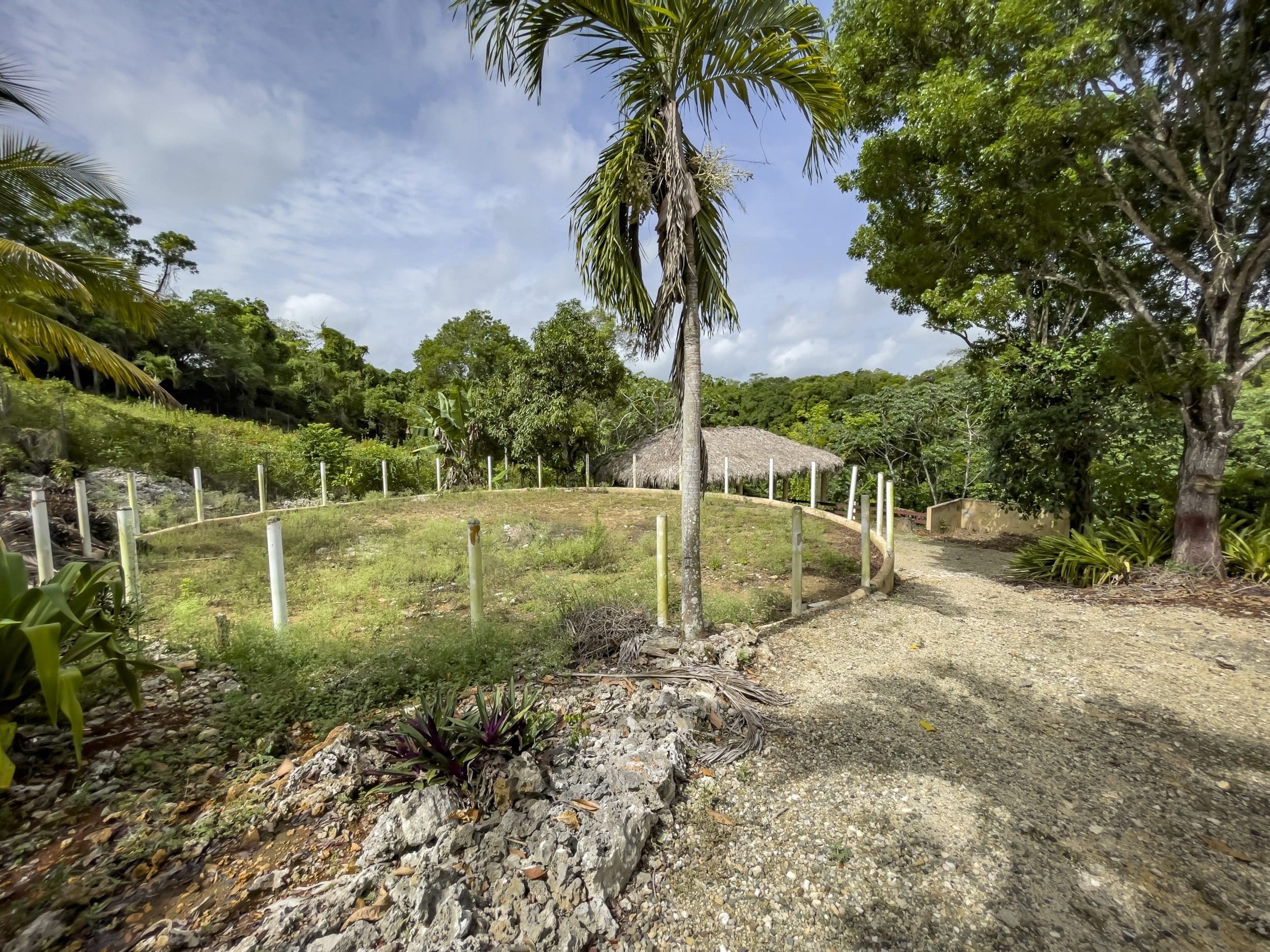 buyDRproperty Tropical scene on a building lot with a circular area and a thatched-roof structure. Sosua Real Estate