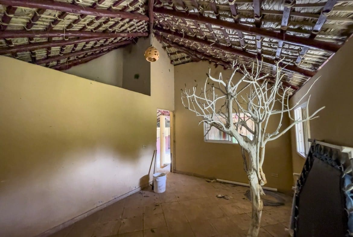 buyDRproperty Interior of a building with a thatched roof and a white decorative tree. Building lot for sale. Sosua Real Estate