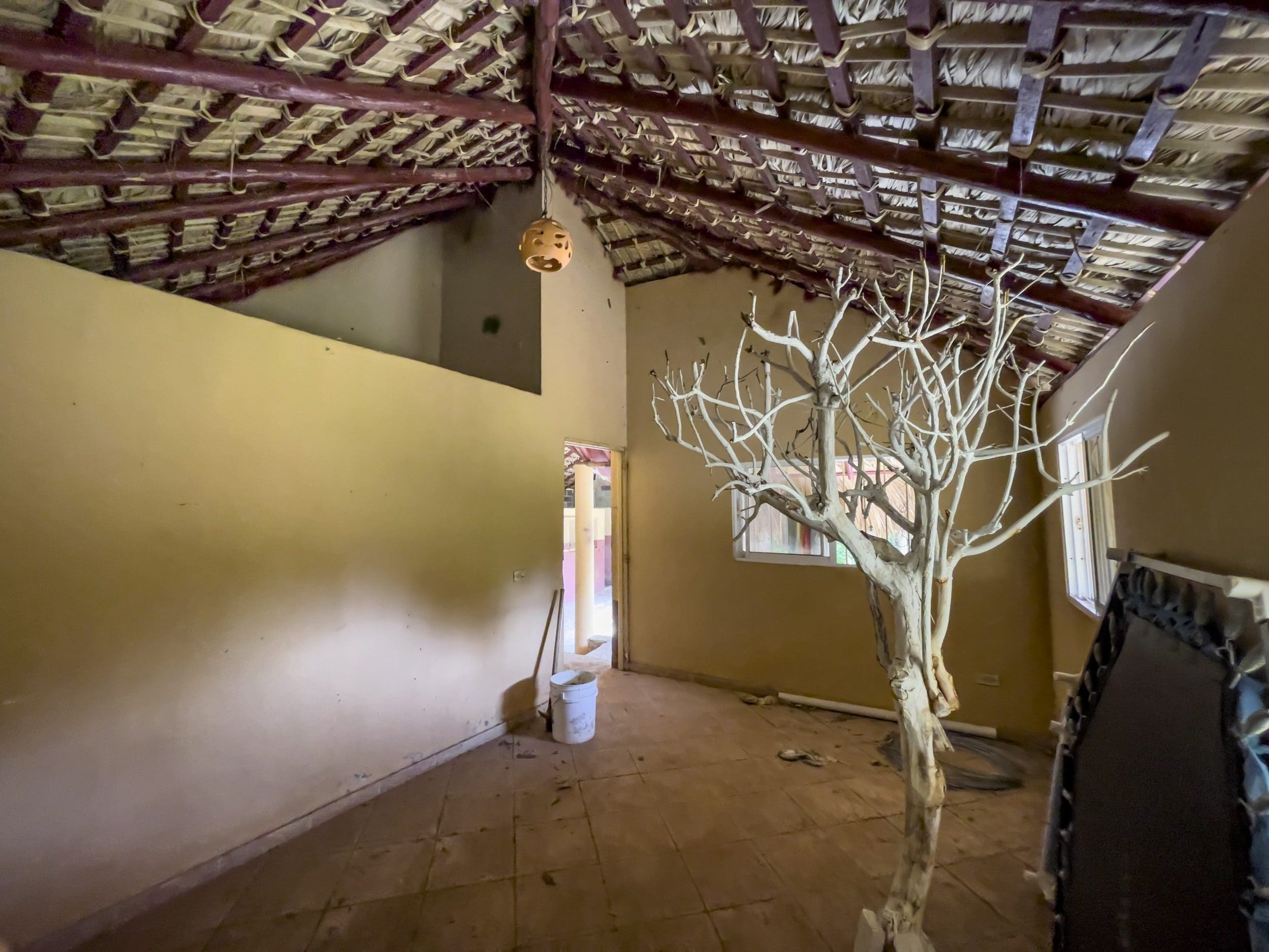 buyDRproperty Interior of a building with a thatched roof and a white decorative tree. Building lot for sale. Sosua Real Estate