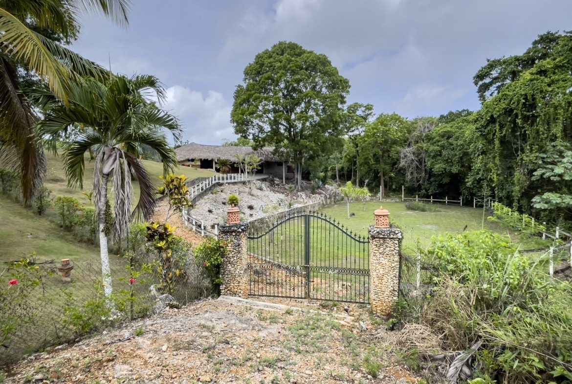 buyDRproperty Entrance to a luxury villa in the Dominican Republic with a stone gate and lush tropical landscaping. Sosua Real Estate