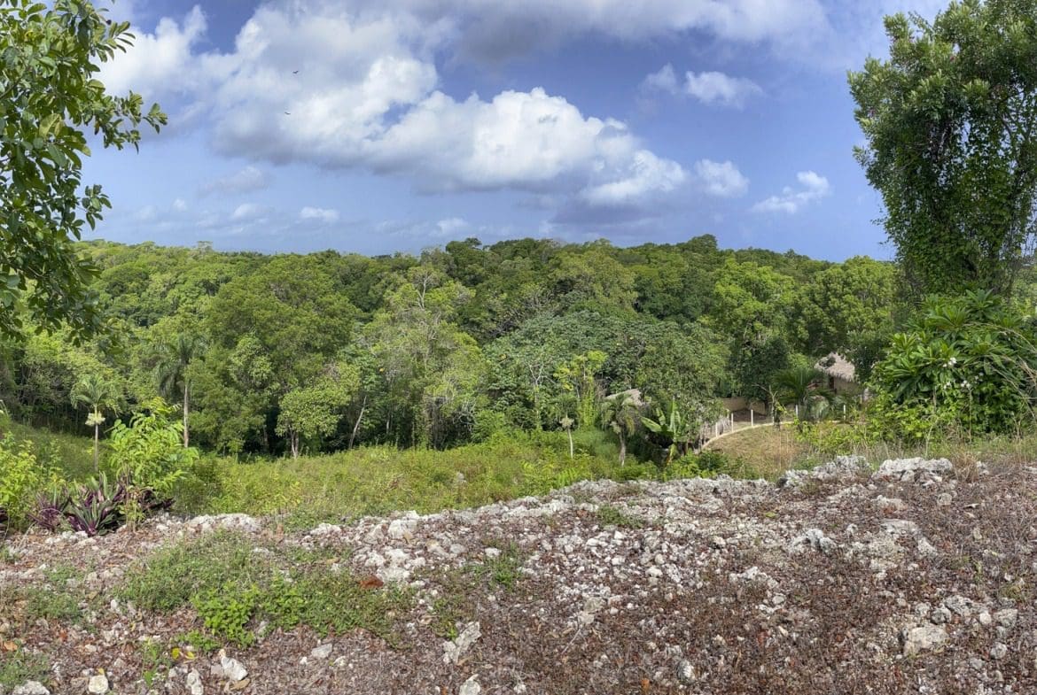 buyDRproperty Scenic view of lush green landscape, potential building lot with ocean views. Sosua Real Estate