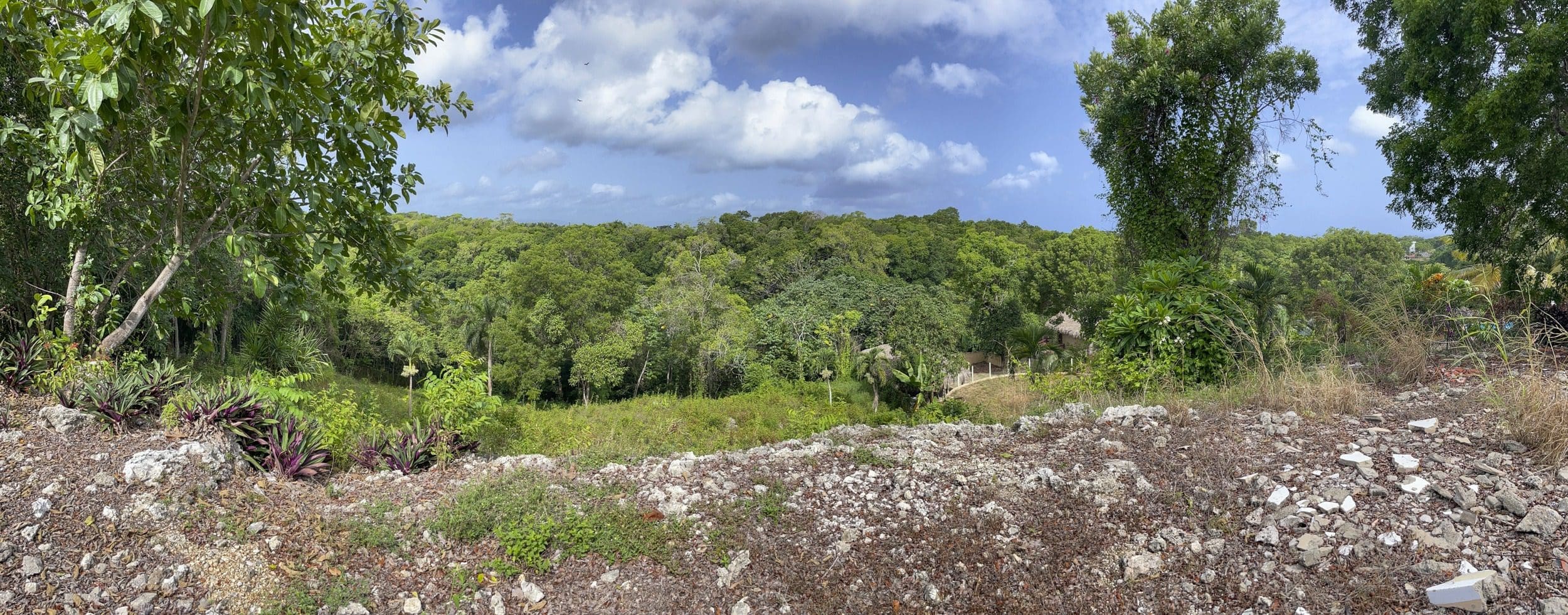 buyDRproperty Scenic view of lush green landscape, potential building lot with ocean views. Sosua Real Estate