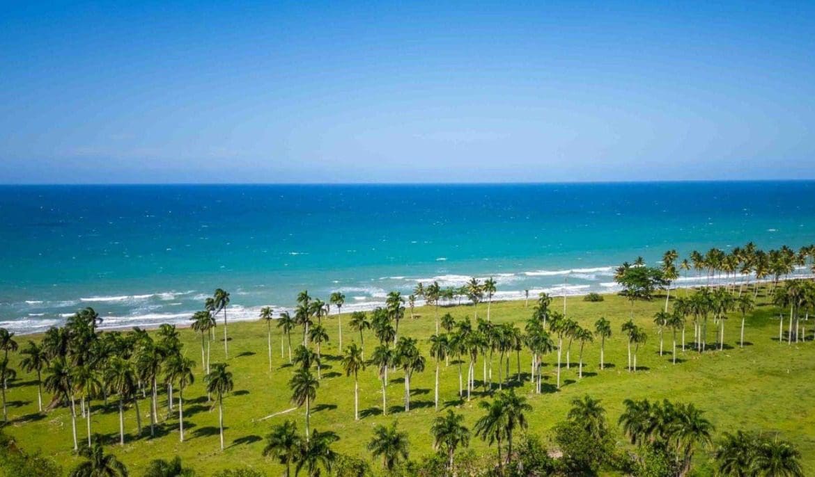 buyDRproperty Beachfront land in Playa Las Canas with palm trees and blue ocean Sosua Real Estate