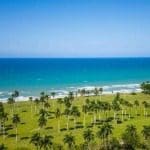 post title   site title