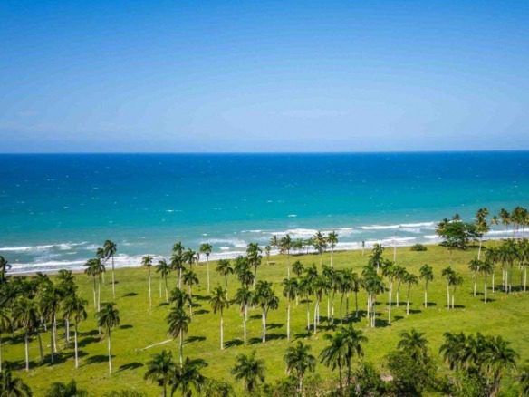 buyDRproperty Beachfront land in Playa Las Canas with palm trees and blue ocean Sosua Real Estate