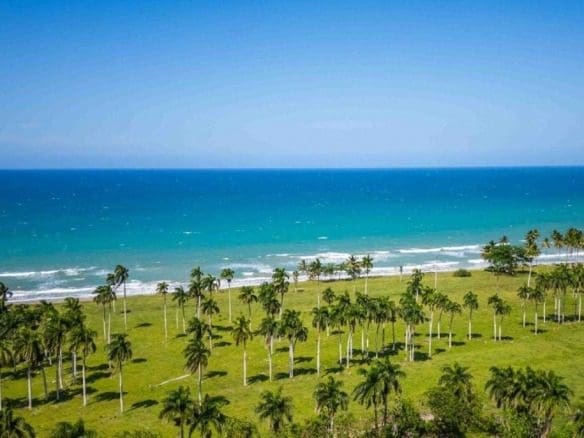 buyDRproperty Beachfront land in Playa Las Canas with palm trees and blue ocean Sosua Real Estate