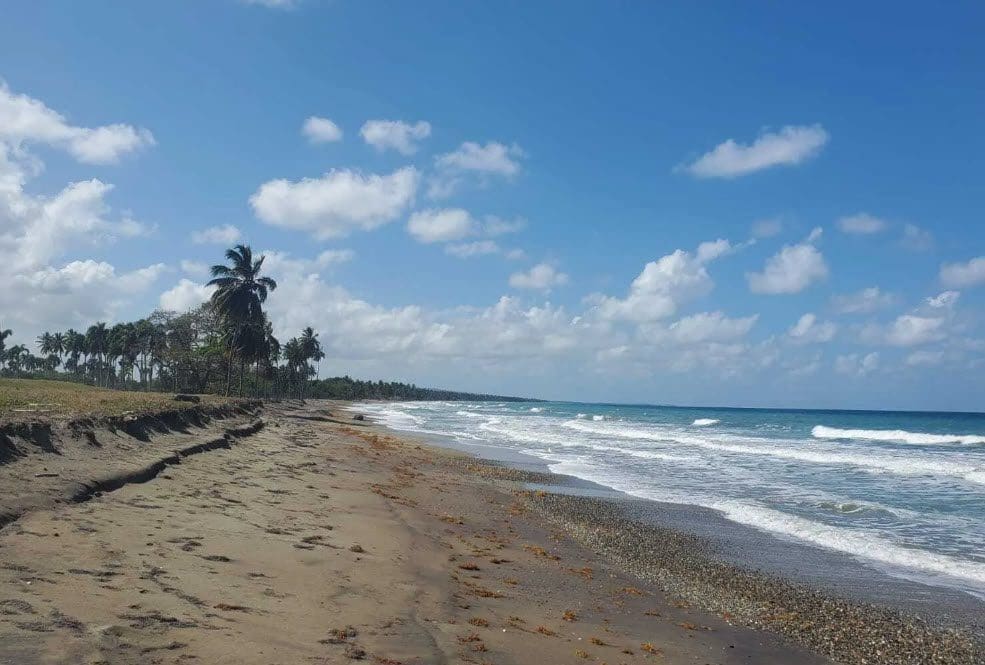 buyDRproperty Beachfront at Playa Las Canas with palm trees, sand, and waves under a blue sky. Sosua Real Estate