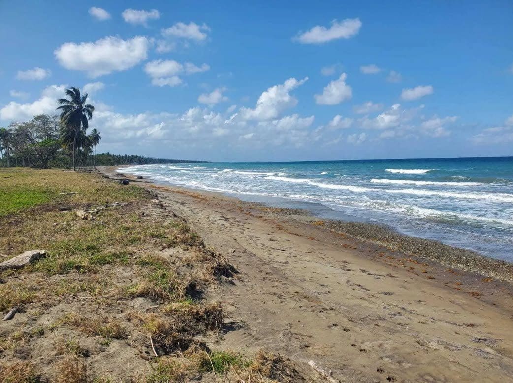 buyDRproperty Beachfront land in Playa Las Canas with palm trees and ocean waves under a blue sky. Sosua Real Estate