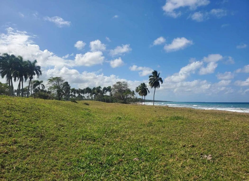 buyDRproperty Beachfront land in Playa Las Canas with palm trees and ocean view. Sosua Real Estate