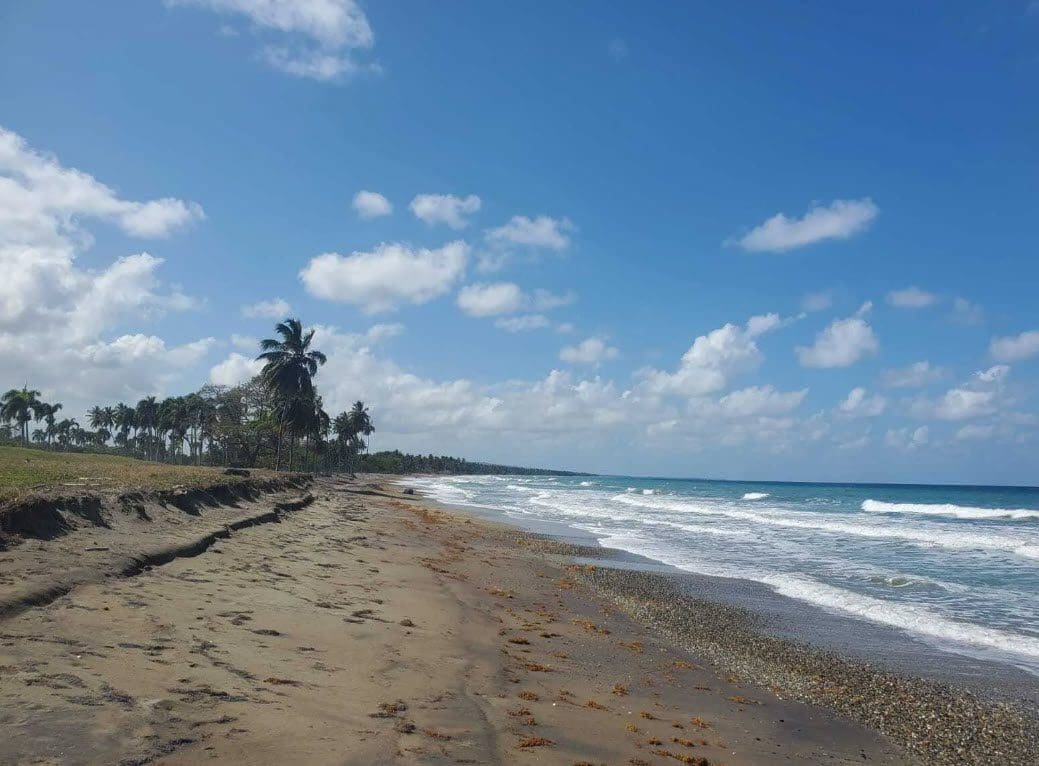 buyDRproperty Beachfront view of Playa Las Canas with palm trees and blue ocean. Sosua Real Estate