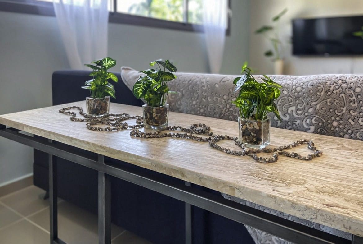 buyDRproperty Modern console table with three potted plants and stone chain, perfect for a ProCab penthouse. Sosua Real Estate