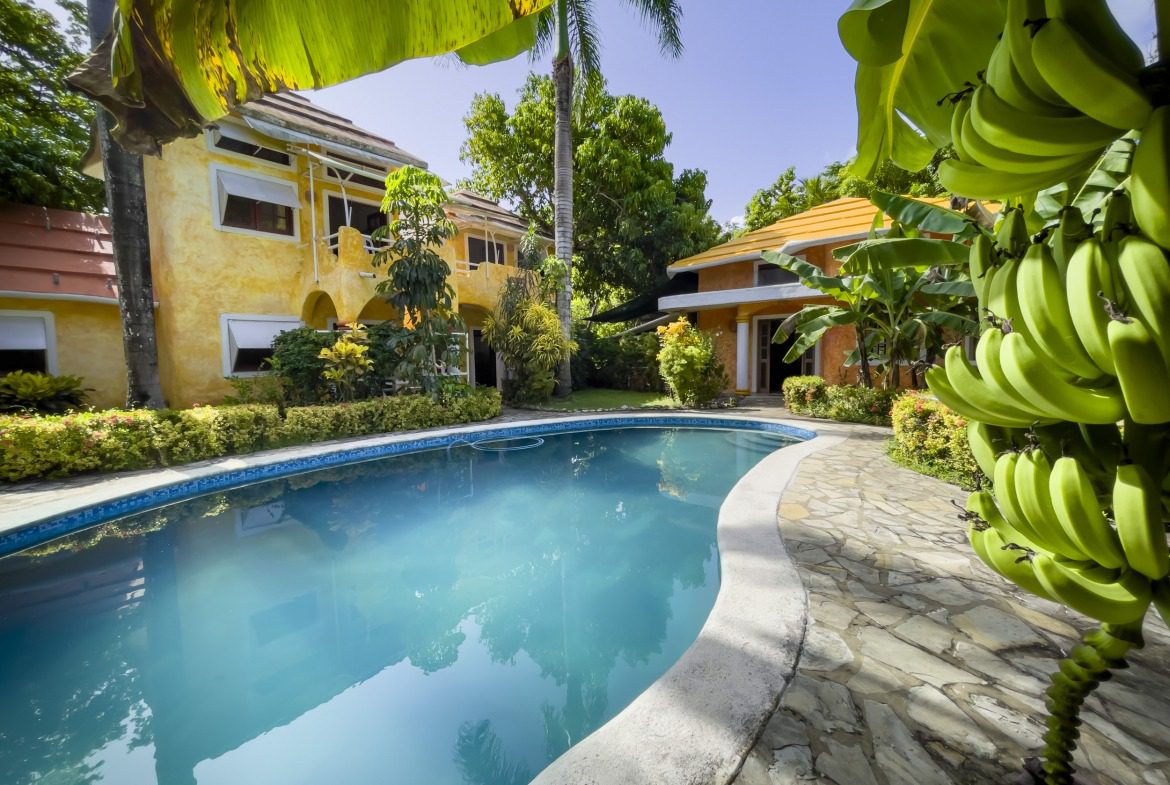 buyDRproperty Charming B&B with pool and banana trees, ready for sale. Sosua Real Estate