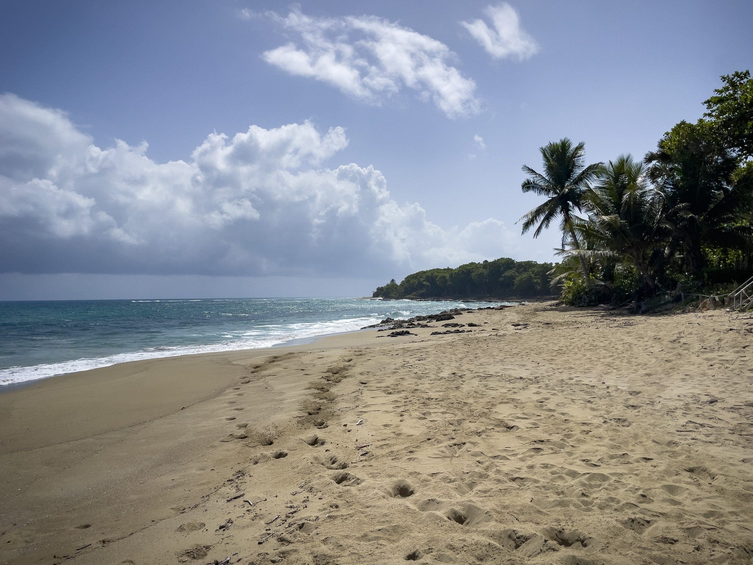 buyDRproperty Beachfront B&B with palm trees and ocean view, perfect for a relaxing getaway. Sosua Real Estate