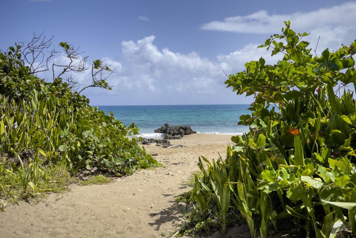 buyDRproperty Sandy path to beach with turquoise water, framed by green plants. Sosua Real Estate