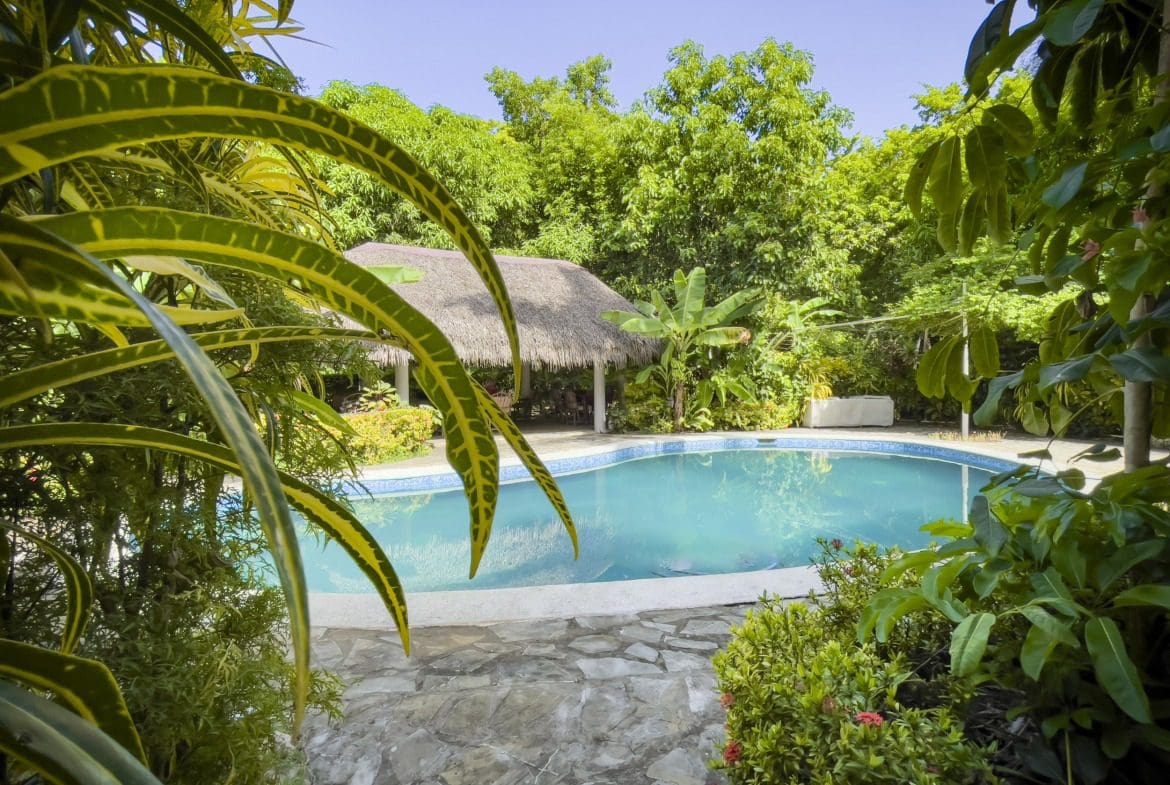 buyDRproperty Pool at charming B&B surrounded by lush tropical plants Sosua Real Estate