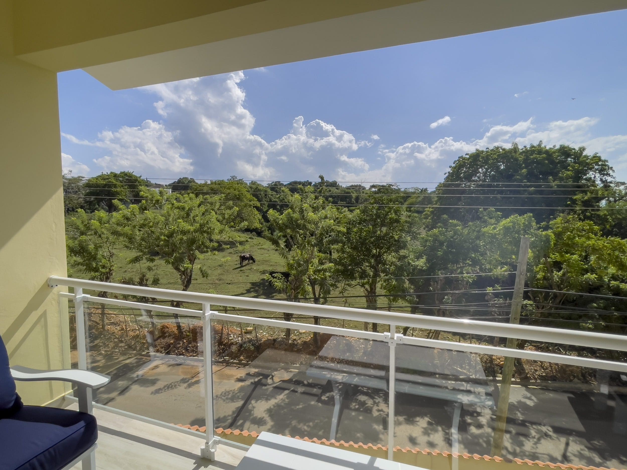 buyDRproperty View from a 1-Bedroom Condo balcony overlooking a green landscape with a cow grazing. Sosua Real Estate
