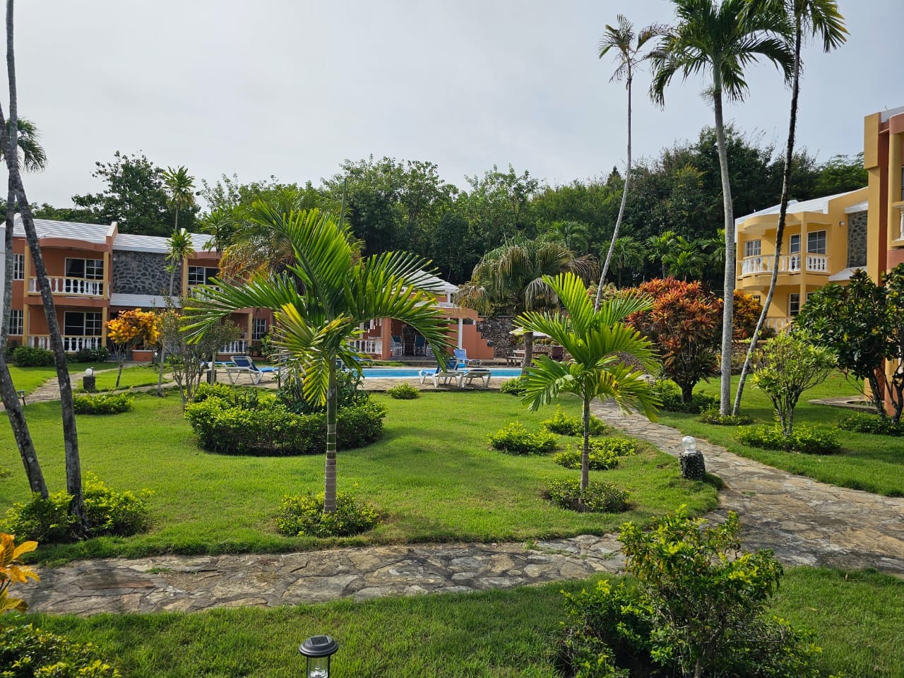 buyDRproperty Lush green courtyard with palm trees and a pool, near a Great Condo for Sale. Sosua Real Estate