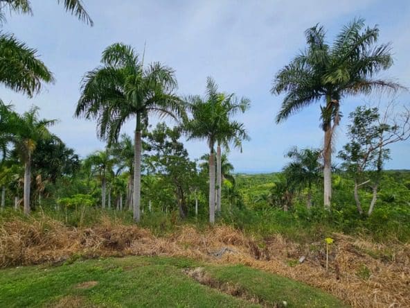 buydrpropertycom-L5893PV-g-592x444 SOSUA Properties
