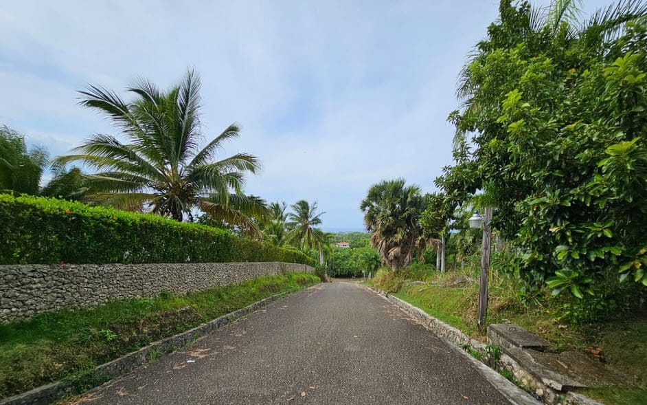 buyDRproperty Paved road leading to oceanview land for sale, lined with palm trees and lush greenery. Sosua Real Estate