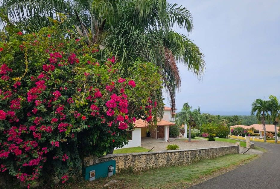 buyDRproperty Oceanview land for sale in Panorama Village L5893PV53 with vibrant bougainvillea and palm trees. Sosua Real Estate
