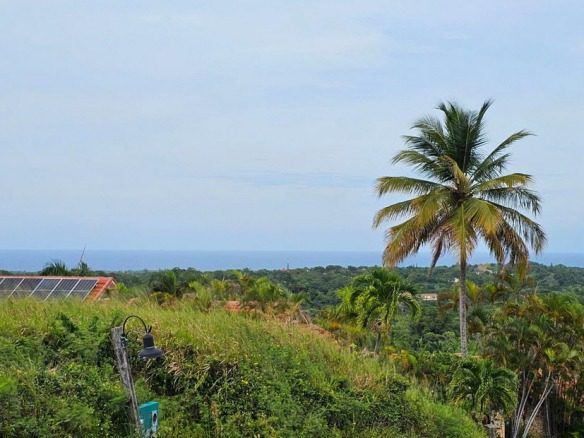buyDRproperty Oceanview land for sale in Panorama Village L5893PV53, with a palm tree and ocean views. Sosua Real Estate