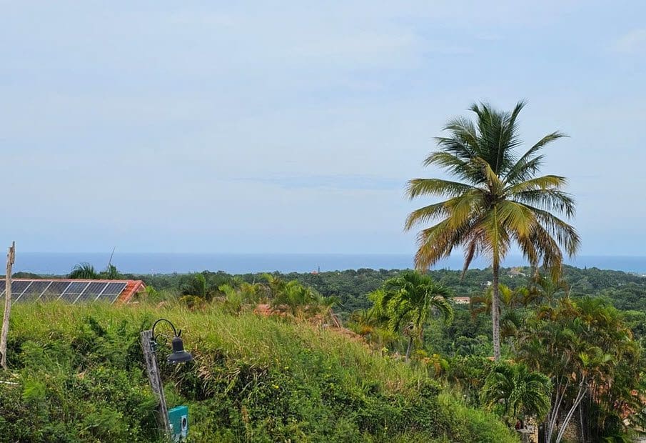 buyDRproperty Oceanview land for sale in Panorama Village L5893PV53, with a palm tree and ocean views. Sosua Real Estate
