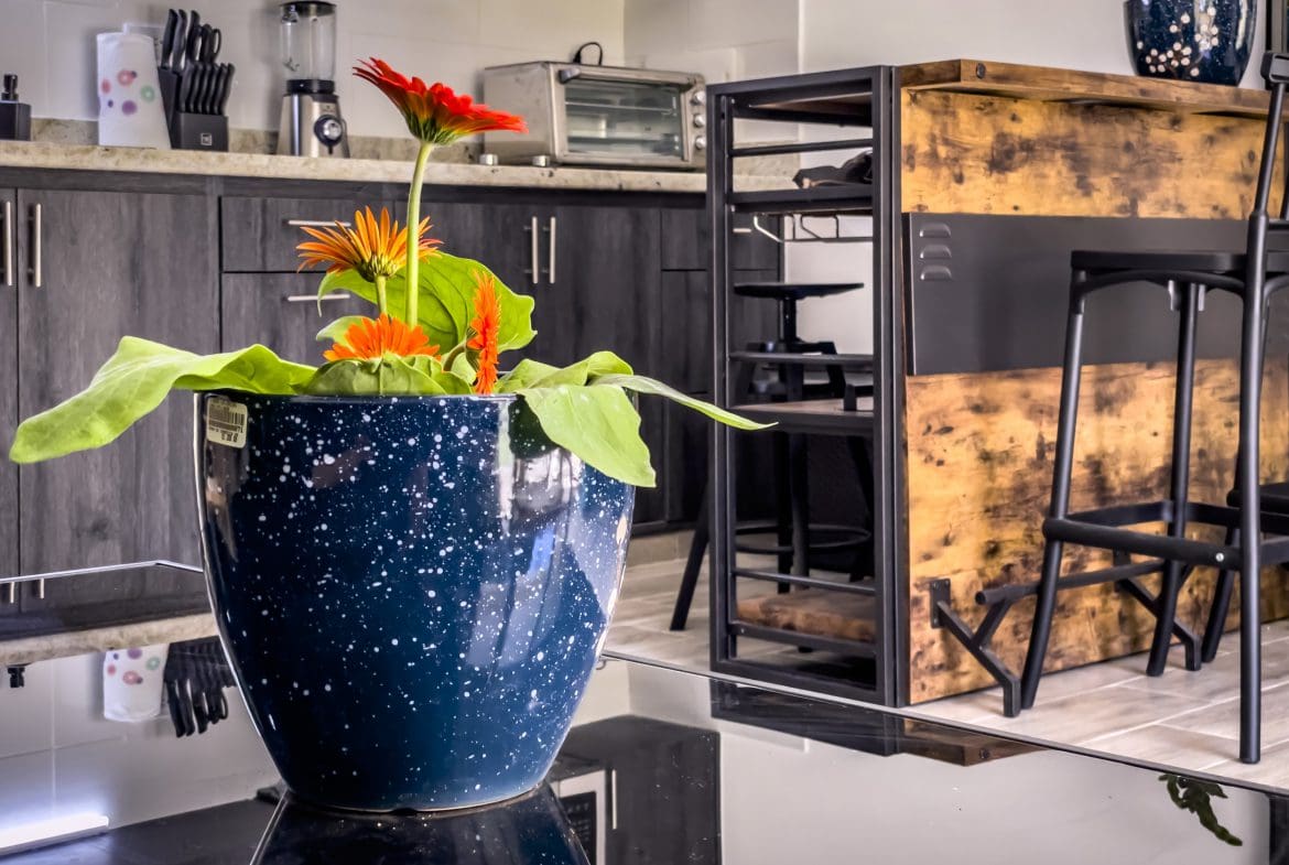 buyDRproperty Orange gerbera daisies in a blue speckled vase on a black countertop in a modern kitchen. Sosua Real Estate