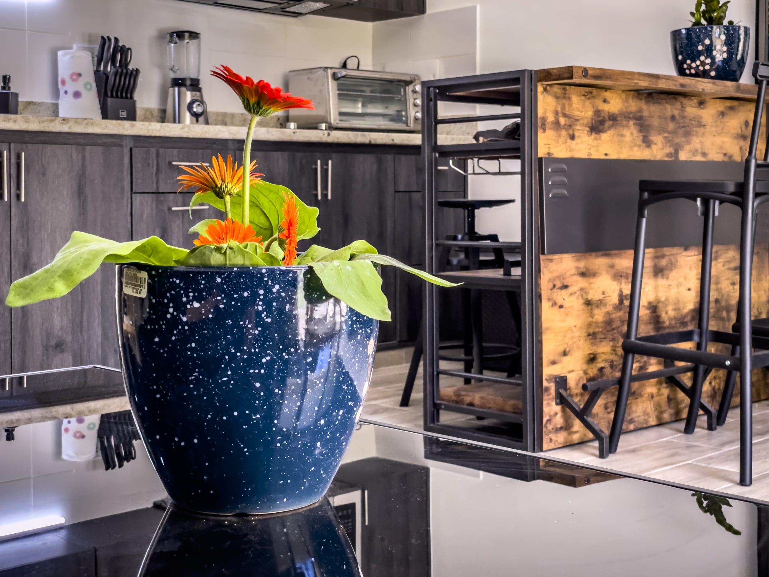 buyDRproperty Orange gerbera daisies in a blue speckled vase on a black countertop in a modern kitchen. Sosua Real Estate