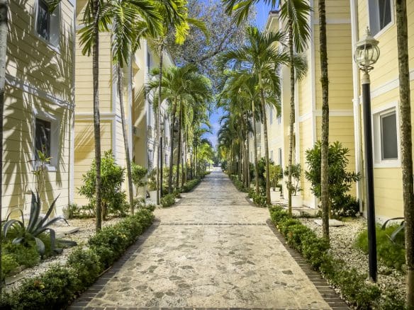 buyDRproperty Pathway lined with palm trees leading to a 2-Bedroom Condo Sosua Real Estate