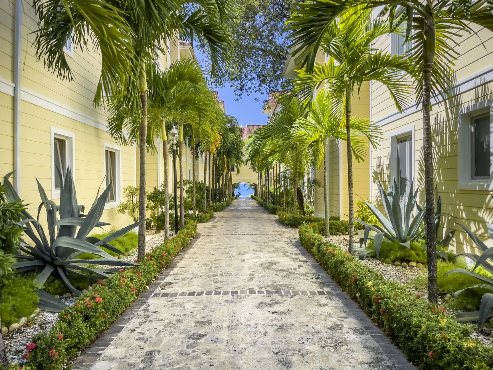 buyDRproperty Pathway lined with palm trees, leading to the sea. Special Offer Sosua Real Estate
