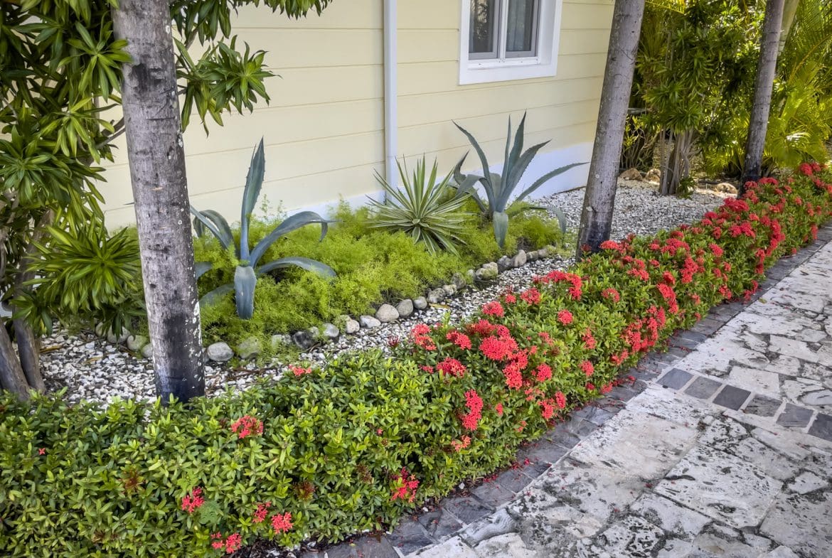 buyDRproperty Landscaped garden with red flowers. 3 bedroom Pre-Construction For Sale. Sosua Real Estate