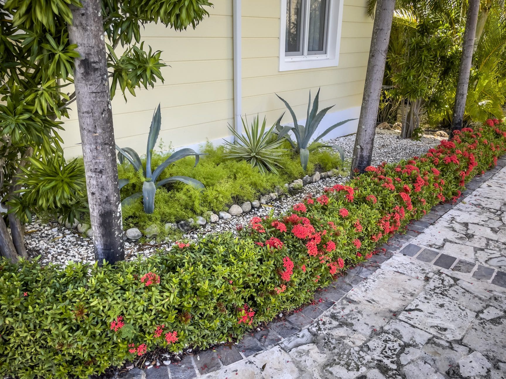 buyDRproperty Landscaped garden with red flowers and palm trees in front of a 2-bedroom condo. Sosua Real Estate