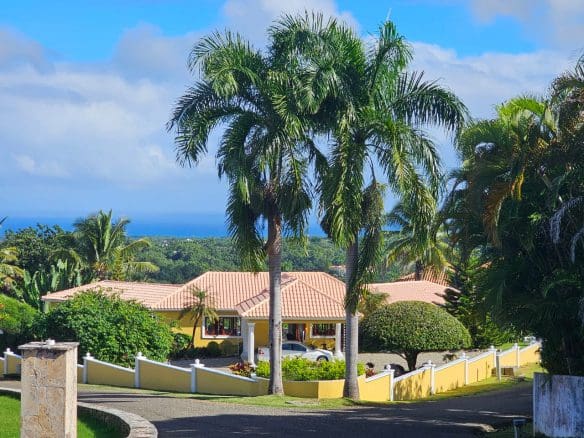 buyDRproperty Ocean view villa for sale in Sosua with palm trees and blue sky Sosua Real Estate
