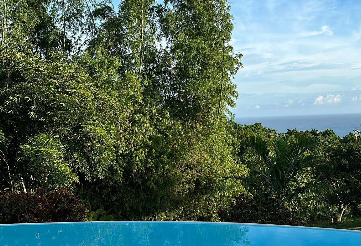 buyDRproperty Ocean view from an infinity pool at a villa for sale in Cabrera, Dominican Republic. Sosua Real Estate