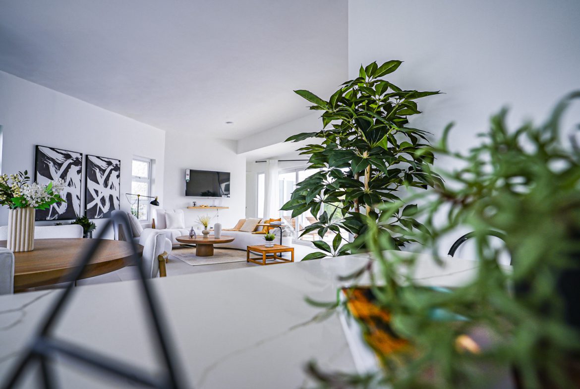 buyDRproperty Modern villa interior with large plant, white furniture and abstract art. Sosua Real Estate