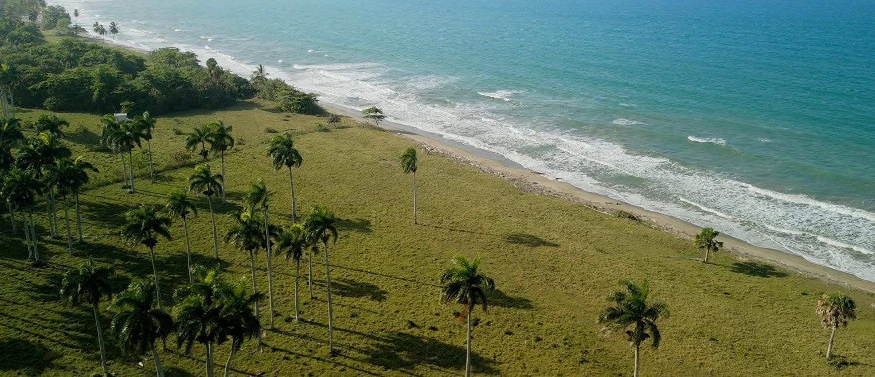 buyDRproperty Aerial view of beachfront land with palm trees near Cabarete, Dominican Republic Sosua Real Estate