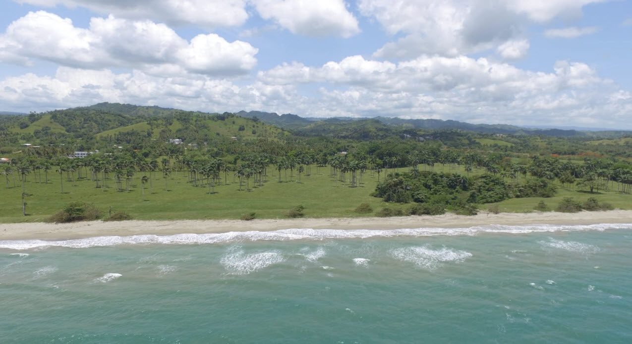 buyDRproperty Beachfront land near Cabarete, Dominican Republic, with palm trees and ocean view. Sosua Real Estate