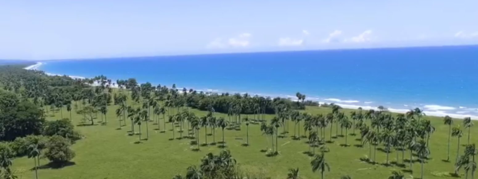 buyDRproperty Beachfront land with palm trees and clear blue ocean near Cabarete, Dominican Republic. Sosua Real Estate