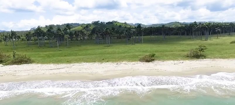buyDRproperty Beachfront land near Cabarete Dominican Republic with palm trees and ocean view. Sosua Real Estate